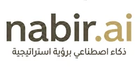 nabir.ai logo, Strategic profiling with AI voice, International
